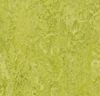 Био-линолеум MARMOLEUM REAL 2,00 Chartreuse 3224