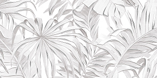 Декор Bonita серый DWU09BNT017 24.9x50 Фото 1