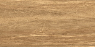 Плитка настенная AltaCera Portland Dark 24.9x50 Фото 1