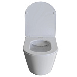 Унитаз подвесной безободковый Wave Trend с сиденьем микролифт Фото 3