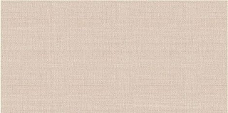 Плитка настенная Asteria TWU09ATR044 24.9x50 Фото 1