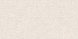 Плитка настенная Asteria TWU09ATR024 24.9x50 Фото 1