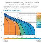 Насос поверхностный Джамбо 70/50 П Фото 2
