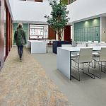 Био-линолеум MARMOLEUM REAL 2,00 Eiger 2629 Фото 9