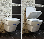 Унитаз подвесной Roca Hall + сиденье микролифт Фото 2