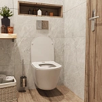 Унитаз подвесной безободковый Wave Trend с сиденьем микролифт Фото 4