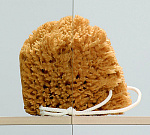 Штора на ванну Radaway Torrenta PND L 1210*1500 лев. хром/прозрач. (201203-101NL) Фото 3