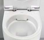 Унитаз подвесной безободковый GEBERIT Acanto сиденье с микролифтом Фото 4