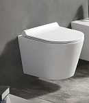 Унитаз подвесной безободковый Azario Nova с сиденьем микролифт Фото 3