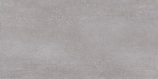 Плитка настенная Bonita серый TWU09BNT707 24.9x50 Фото 1