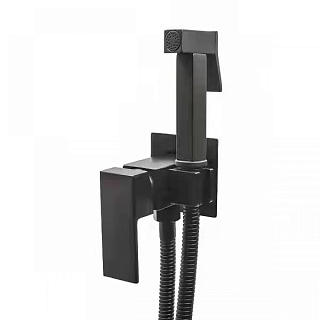 Гигиенический душ встраиваемый RUSH Thira (TR3635-99Black) Фото 1