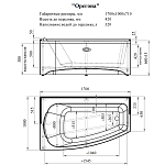 Акриловая ванна Радомир Орегона 170х100 (в компл. экран, каркас, слив-перелив) Фото 4