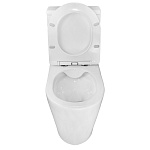 Унитаз напольный безободковый Azario Flin c сидением микролифт Фото 5