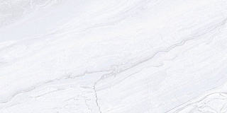 Плитка настенная Arcadia TWU09ARC007 24.9x50 Фото 1